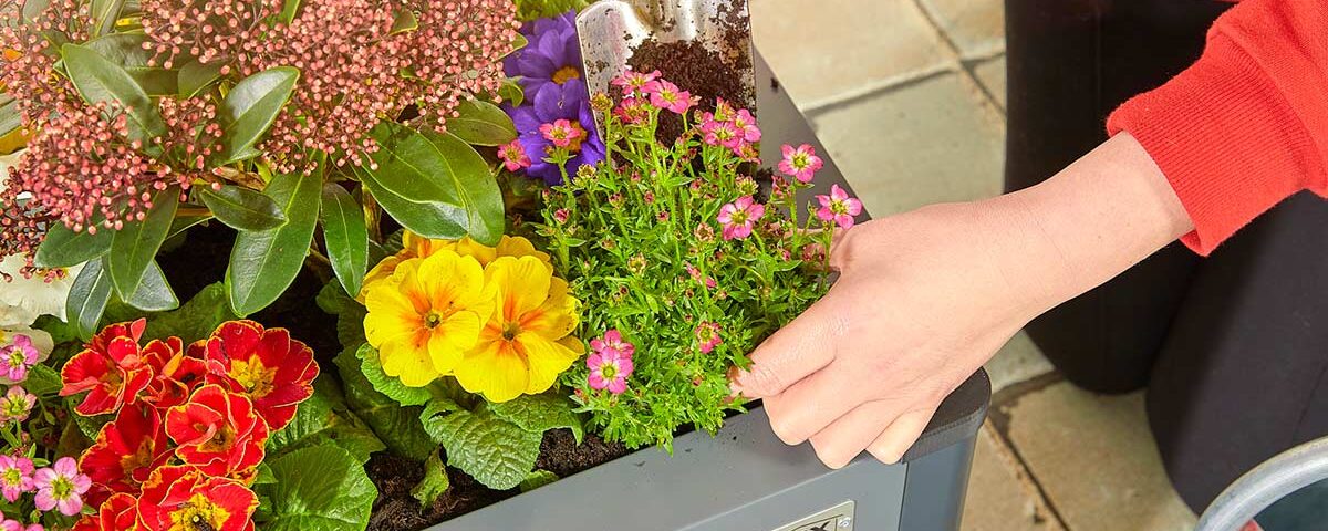 End of summer gardening checklist