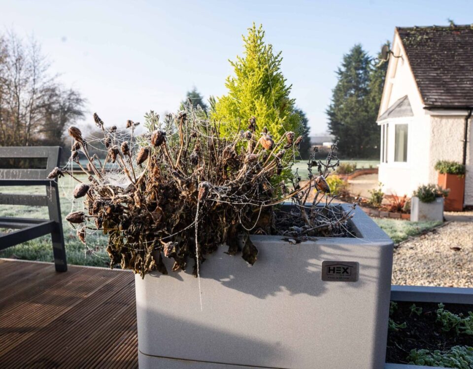 winter metal planter